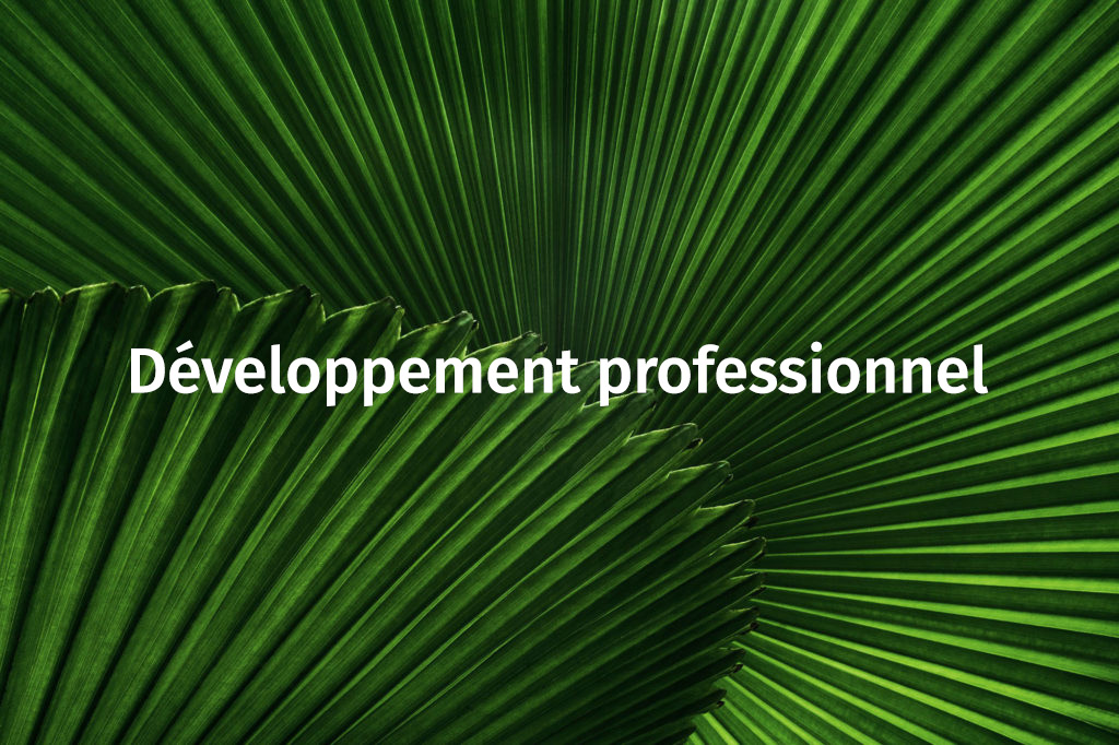 developpement_professionnel 